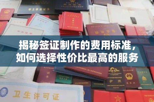 龙华揭秘签证制作的费用标准，如何选择性价比最高的服务？