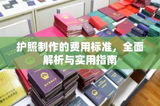 和龙护照制作的费用标准，全面解析与实用指南